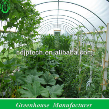 vegetable tunnel greenhouse