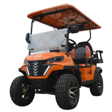 Wholesale Cheap 4 Seater Electric Golf Carts & Push Carts