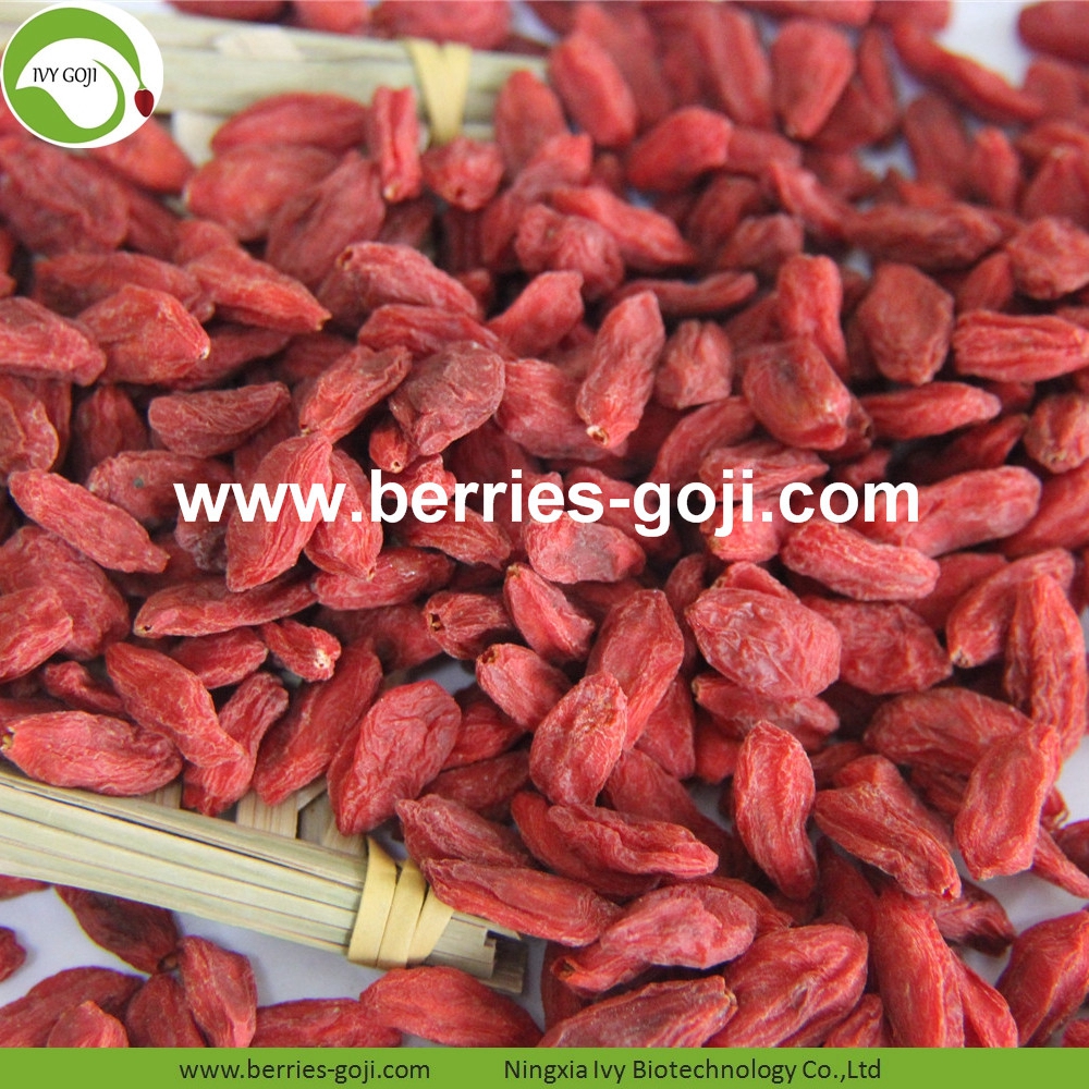 Organic Certificated Goji Berries