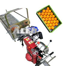 Self-Propelled Gasoline Engine Transporters: Time-Saving Solutions for Orchard Management