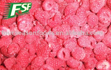 2012 crop IQF Raspberry