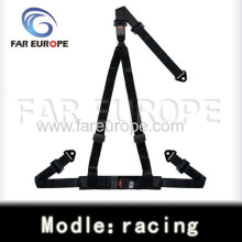 Racing Car Safety Belt?