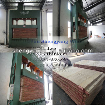 cold press/hydraulic press machine/plywood cold press machine/laminate press machine cold press/cold press oil press machine