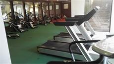 gym equipment