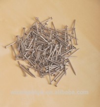 Black Common Iron Nail Wire Nail/Common Iron Wire Nail