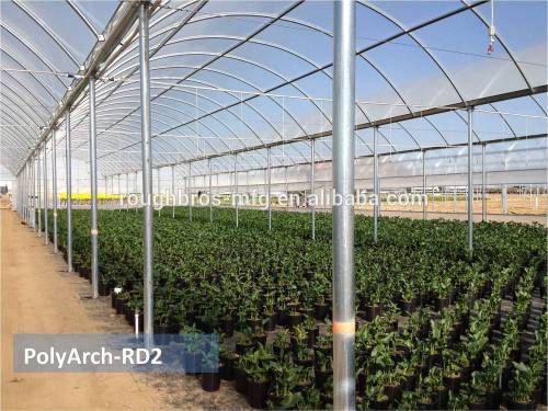 multi span film Greenhouse