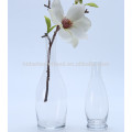 Clear Color Simple Glass Vase