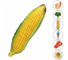 Realistic-Looking Squeaky Dog Toys