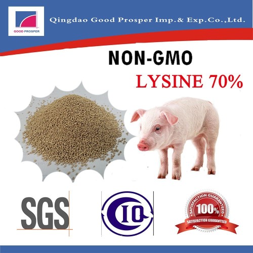 Feed Grade L Lysine/ L Lysine Sulphate 70% for Chicken Feed Supplyment