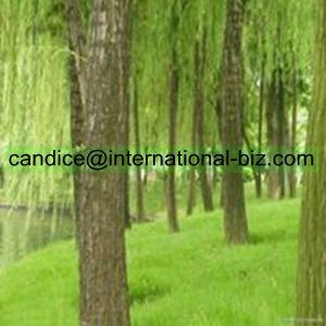 White Willow Bark Extract