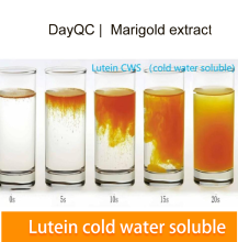 Marigold Extract powder Lutein CWS powder