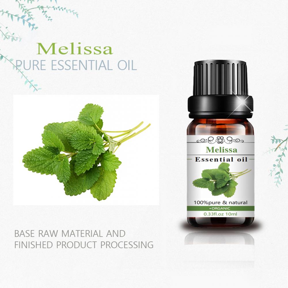 High quality 100% Melissa Leaf Essential Oil for skin care