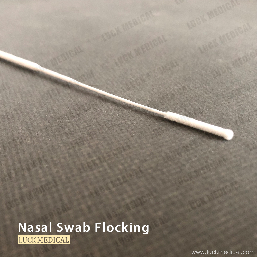 Nasopharyngeal Swab for Viral Culture NP CE
