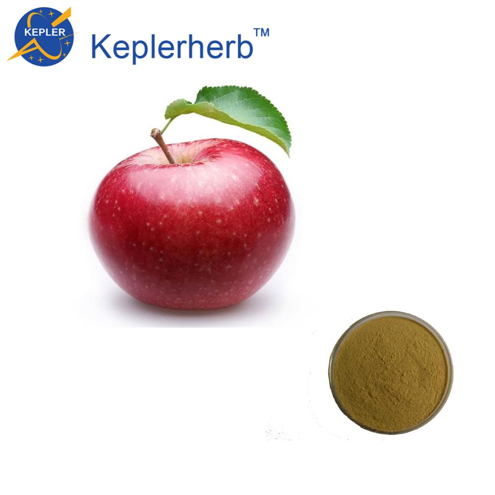 Apfelsaftpulver Frucht