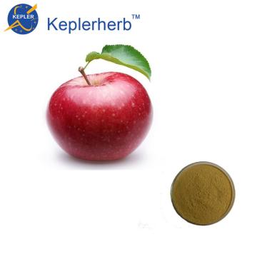 Apfelsaftpulver Frucht