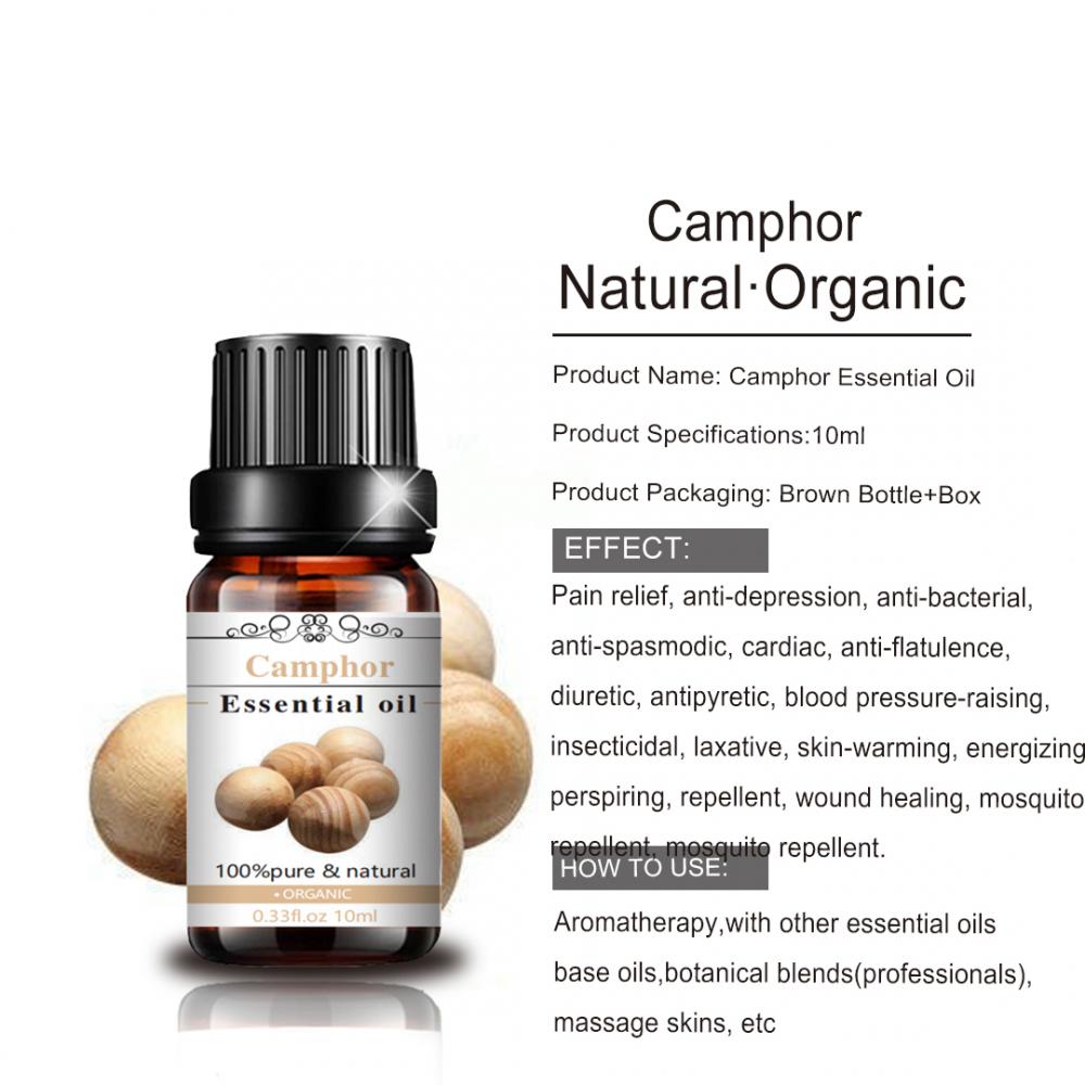 Pure and Natural Best Selling Camphor Essential Oil at Wholesale Price