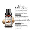 Pure and Natural Best Selling Camphor Essential Oil at Wholesale Price