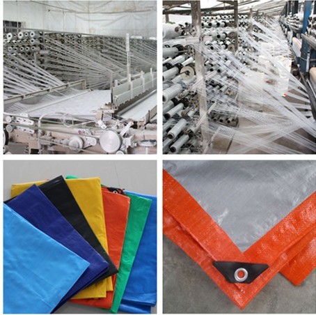 pe/pp/pvc tarpaulin factory /giolder spplier /china/ tarpaulin fctory