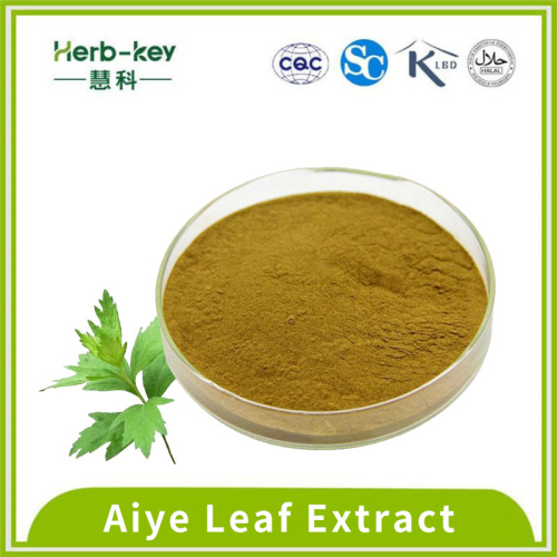 4:1 Artemisia argyi extract can be customized