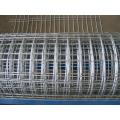 galvanized iron welded wire mesh for fence