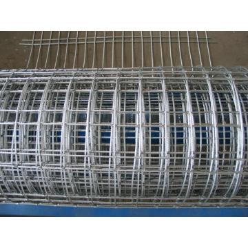 wire mesh dilas besi galvanis untuk pagar