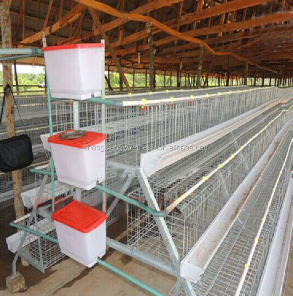 3 Layer sales kenya poultry farm house chicken cage hot galvanized 20 years lifetime  with Auto water system