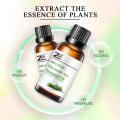 Natural Pine Needle essential Oil,Pine need