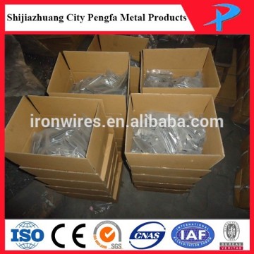 common nail in bags made in China