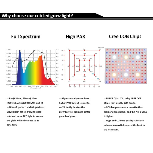 Hydroponic 3000W COB Led Grow Light for Greenhouse