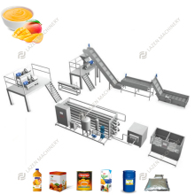 Mango Pulp Processing and Jam Making Machinery