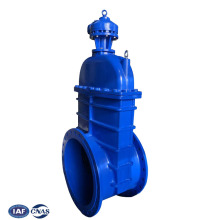 Di double disc gate valve dn350 price dn600 ductiel iron gate valve