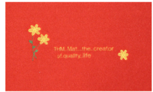 Hotel front embroidery door mats mat with pattern