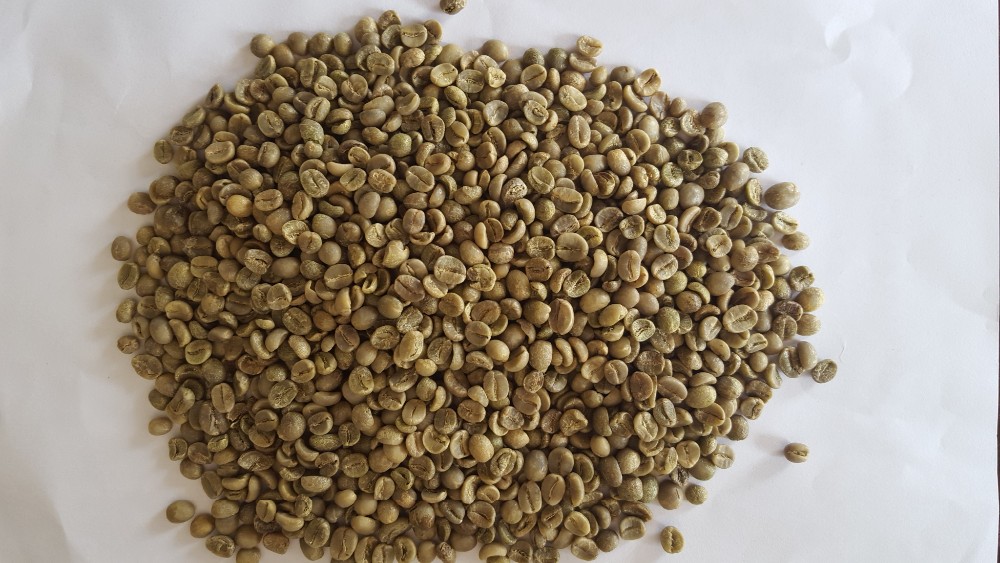 green coffee beans,vietnam origin,aqabica type,new crop