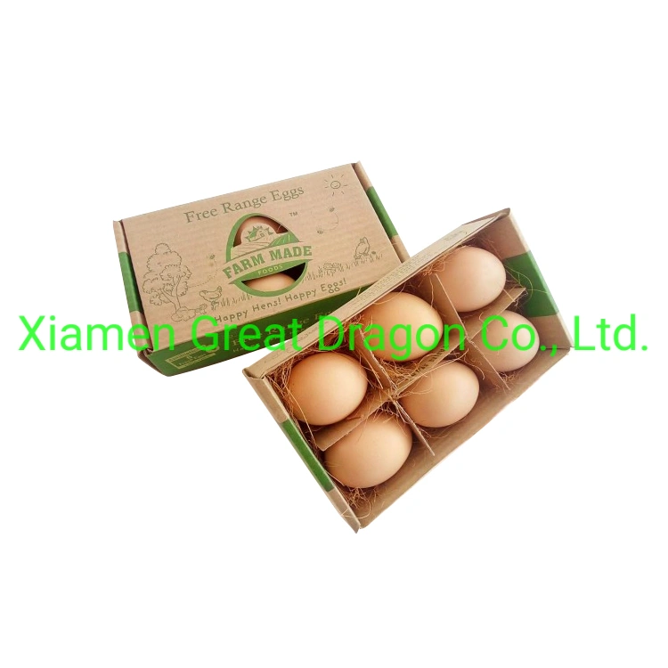 Biodegradable Paper Egg Box (PCB9001)