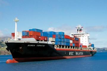 China Sea Freight Shipping Logistics Servcie