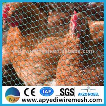 Hexagonal wire mesh for chicken cage