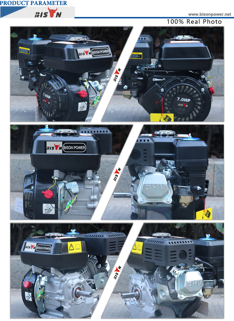 BISON CHINA 170F 7HP Gasoline Generator Petrol Engine BS200 Air Cooled 210cc Gasoline Engines