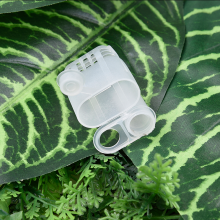 2018 Queen bee hair roller cages factory supply wooden queen bee bamboo