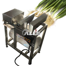 Automated Onion Peeling Machine: Efficient Solution for Labor-Saving in Processing Dry Spring Onions, Green Onions, Leeks, and Chives