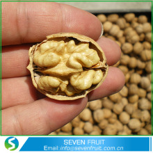 30mm Up Walnut Type Inshell Walnut