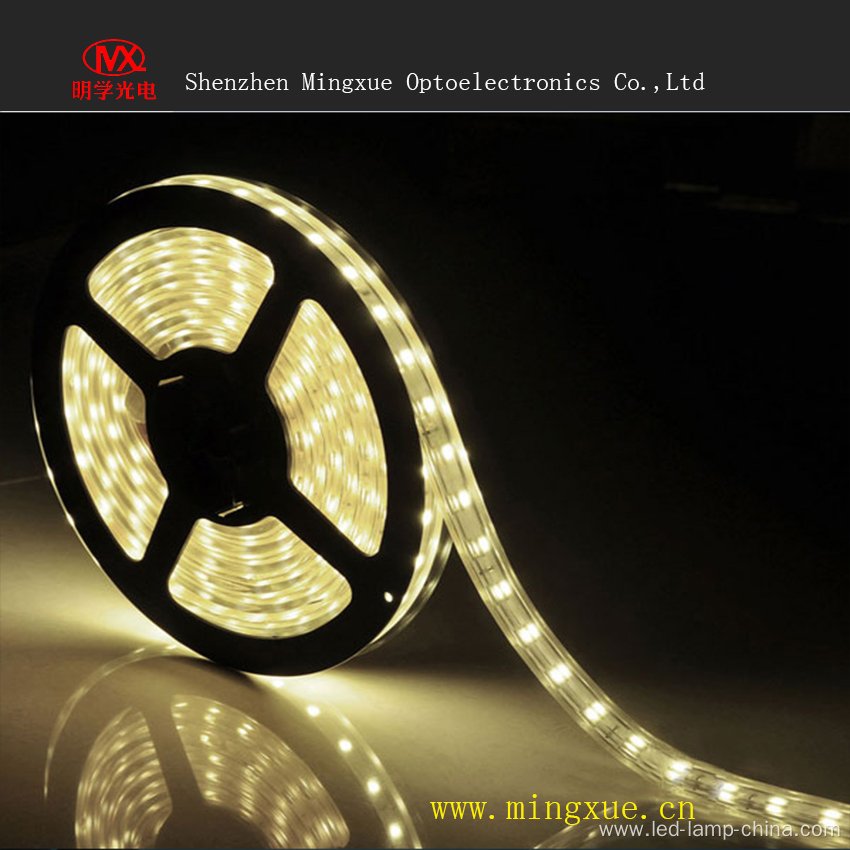 Waterproof LED Strip SMD5050 LED Strip Light