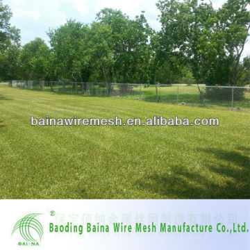 China Manufacturer High Quality Plant Protection Mesh