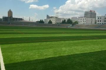 Artificial Grass for Football MT-Stem-Plus MT-Stem XL-Plus