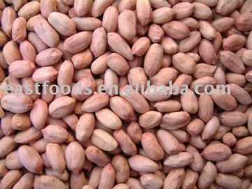 Raw Peanut kernels
