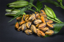 High Quality Frozen Mussel Meat Frozen Cooked Mussel