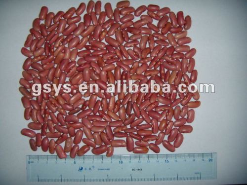 Chinese light red kidney beans