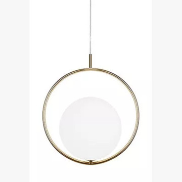 LEDER Hanging Led Pendant Spotlights