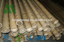 Bamboo Poles/Big Moso Bamboo/Giant Diameter Bamboo/Bamboo Canes