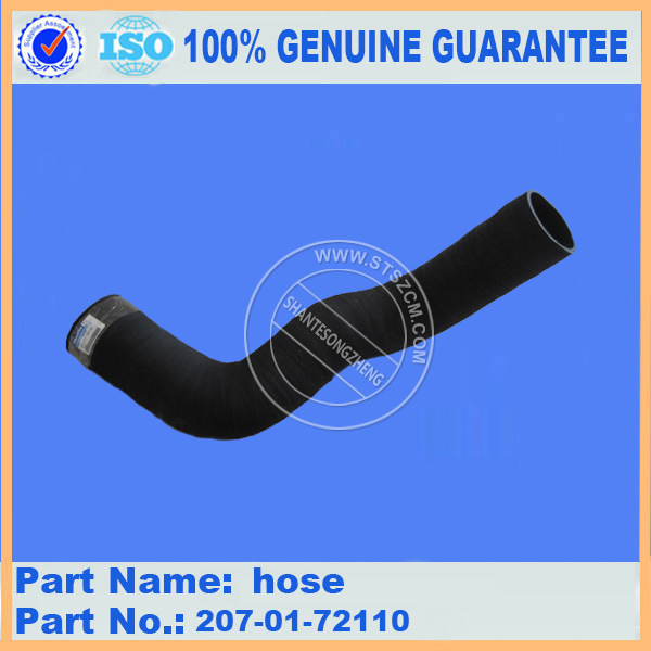 300 7 Hose 207 01 72110