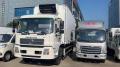 Camion per furgoni in frigorifero per congelatore refrigerato Dongfeng